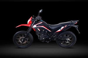LIFAN LF200GY-4D